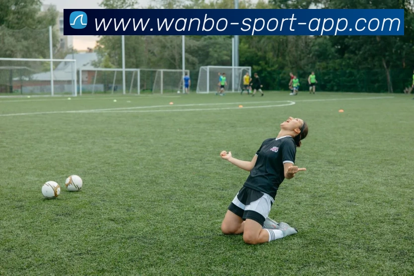 多媒体互动体验